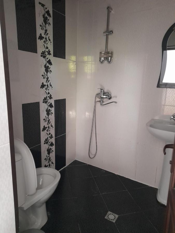 Guesthouse Borjomi Dış mekan fotoğraf